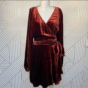 ALC NWT silk velvet wrap size 4 dress in color Cognac.  Offers welcome.